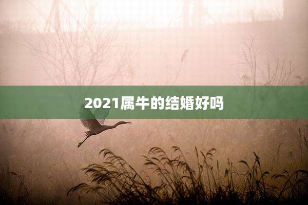 2021属牛的结婚好吗