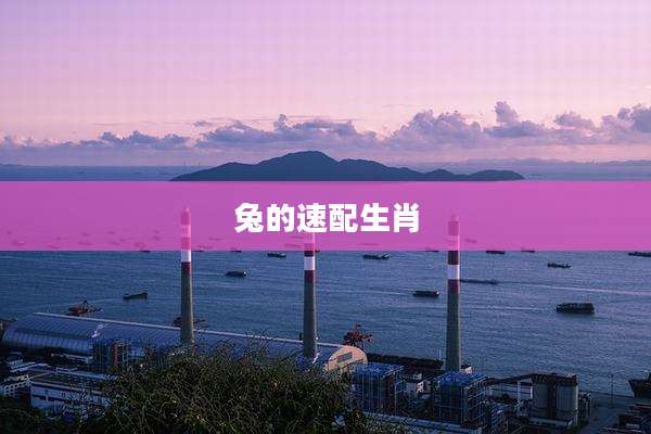 兔的速配生肖