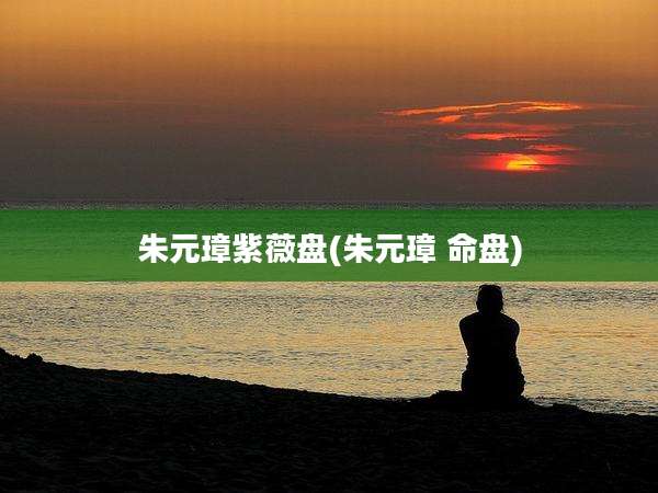 朱元璋紫薇盘(朱元璋 命盘)