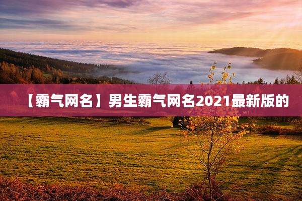 【霸气网名】男生霸气网名2021最新版的