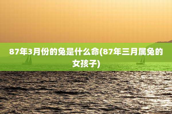 87年3月份的兔是什么命(87年三月属兔的女孩子)