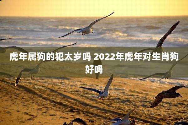 虎年属狗的犯太岁吗 2022年虎年对生肖狗好吗