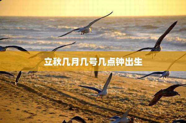 立秋几月几号几点钟出生