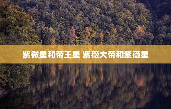 紫微星和帝王星 紫薇大帝和紫薇星