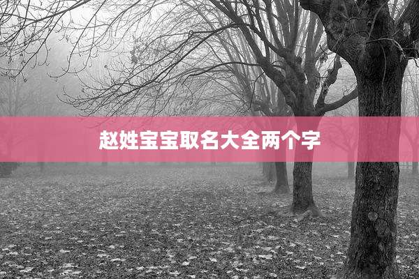 赵姓宝宝取名大全两个字