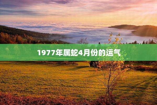 1977年属蛇4月份的运气