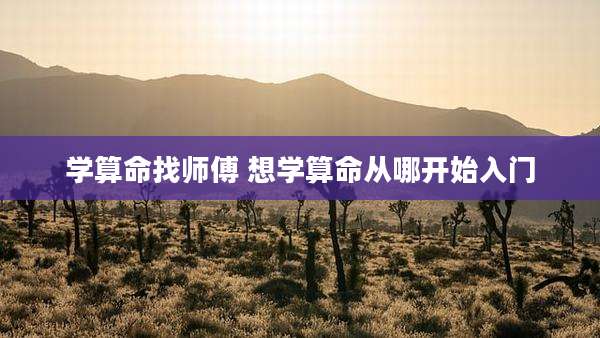 学算命找师傅 想学算命从哪开始入门