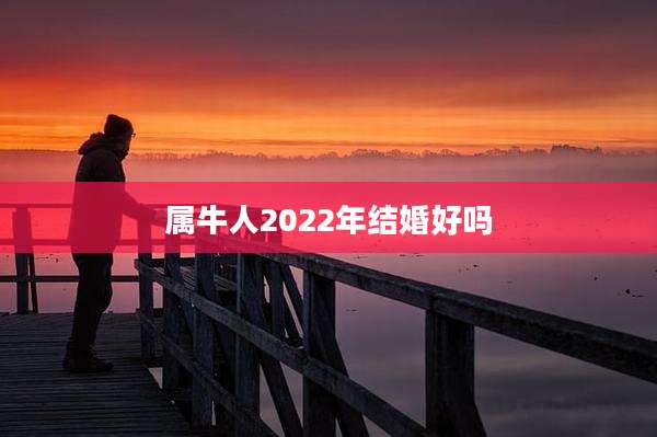 属牛人2022年结婚好吗