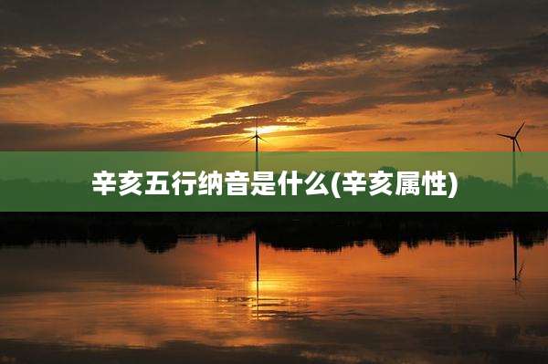 辛亥五行纳音是什么(辛亥属性)