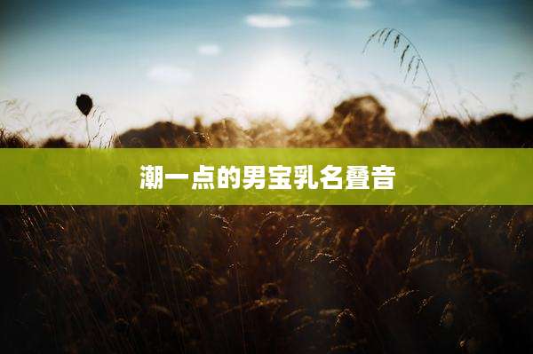潮一点的男宝乳名叠音