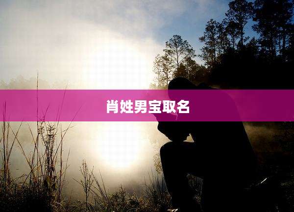 肖姓男宝取名