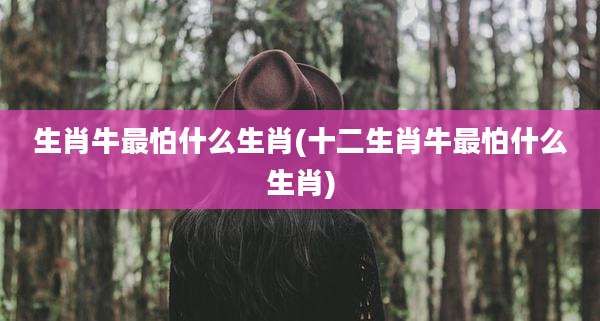 生肖牛最怕什么生肖(十二生肖牛最怕什么生肖)