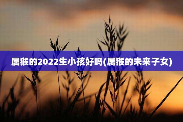 属猴的2022生小孩好吗(属猴的未来子女)