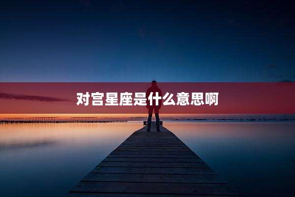对宫星座是什么意思啊