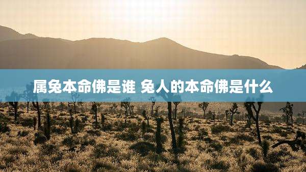 属兔本命佛是谁 兔人的本命佛是什么