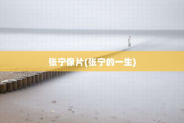 张宁像片(张宁的一生)