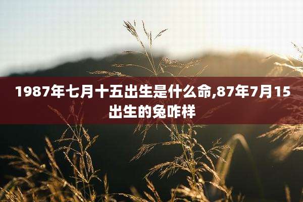 1987年七月十五出生是什么命,87年7月15出生的兔咋样