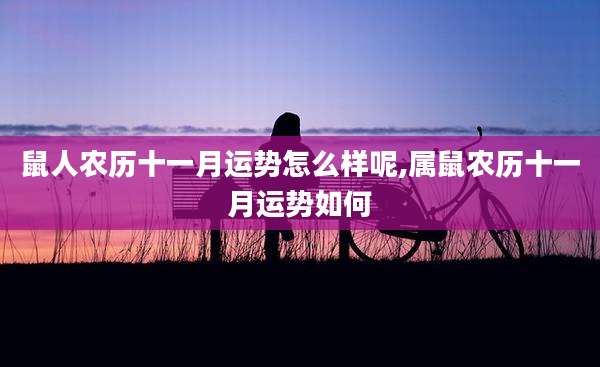 鼠人农历十一月运势怎么样呢,属鼠农历十一月运势如何