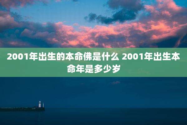 2001年出生的本命佛是什么 2001年出生本命年是多少岁