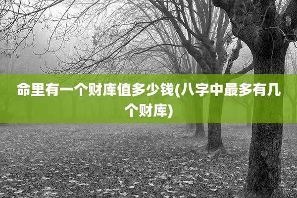 命里有一个财库值多少钱(八字中最多有几个财库)