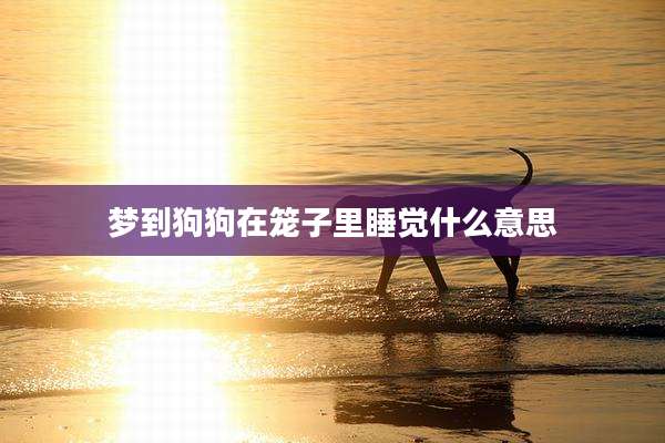 梦到狗狗在笼子里睡觉什么意思
