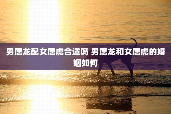 男属龙配女属虎合适吗 男属龙和女属虎的婚姻如何