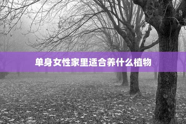 单身女性家里适合养什么植物