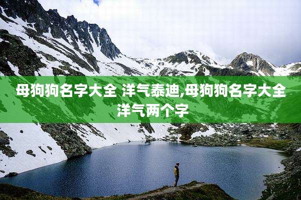 母狗狗名字大全 洋气泰迪,母狗狗名字大全 洋气两个字
