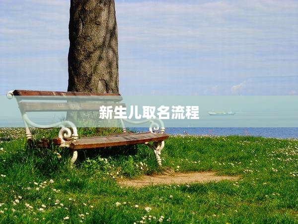 新生儿取名流程