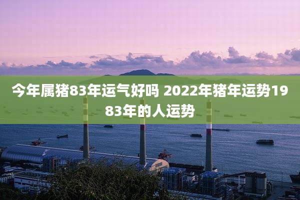 今年属猪83年运气好吗 2022年猪年运势1983年的人运势