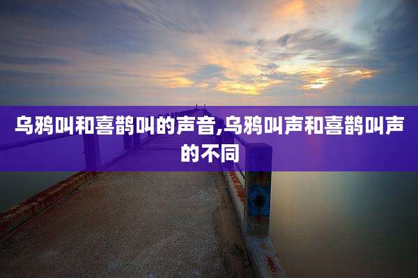 乌鸦叫和喜鹊叫的声音,乌鸦叫声和喜鹊叫声的不同