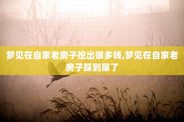 梦见在自家老房子挖出很多钱,梦见在自家老房子踩到屎了