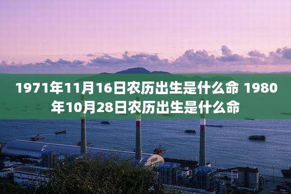 1971年11月16日农历出生是什么命 1980年10月28日农历出生是什么命