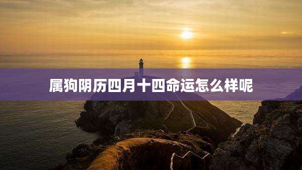 属狗阴历四月十四命运怎么样呢