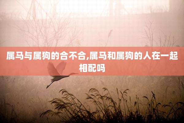 属马与属狗的合不合,属马和属狗的人在一起相配吗