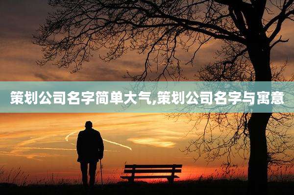 策划公司名字简单大气,策划公司名字与寓意