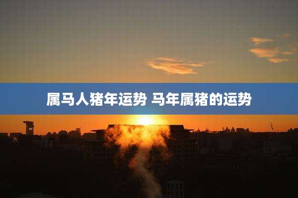 属马人猪年运势 马年属猪的运势