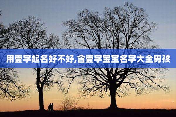 用壹字起名好不好,含壹字宝宝名字大全男孩