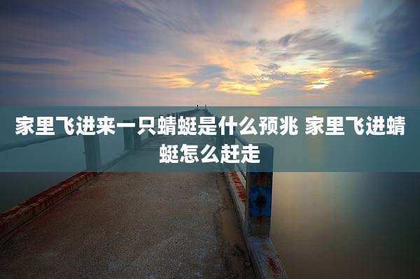 家里飞进来一只蜻蜓是什么预兆 家里飞进蜻蜓怎么赶走