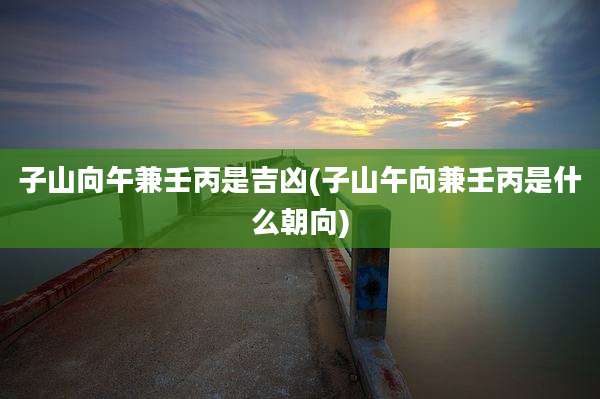 子山向午兼壬丙是吉凶(子山午向兼壬丙是什么朝向)
