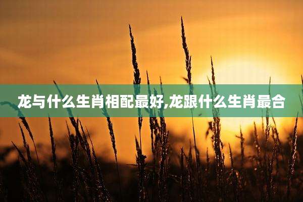 龙与什么生肖相配最好,龙跟什么生肖最合