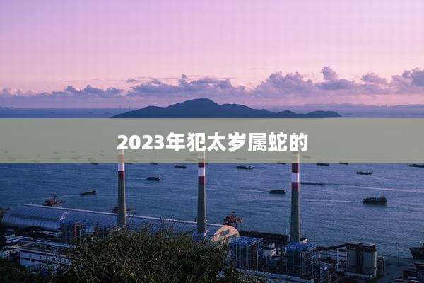 2023年犯太岁属蛇的