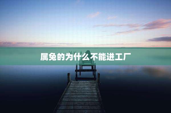 属兔的为什么不能进工厂