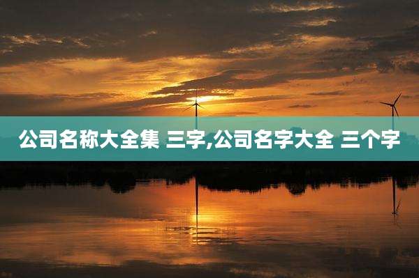 公司名称大全集 三字,公司名字大全 三个字