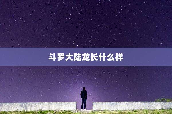 斗罗大陆龙长什么样