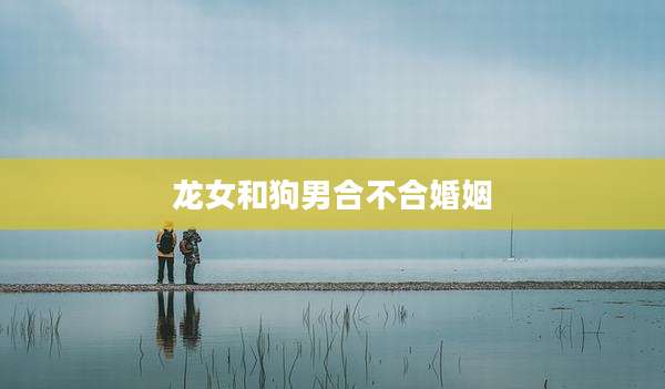 龙女和狗男合不合婚姻
