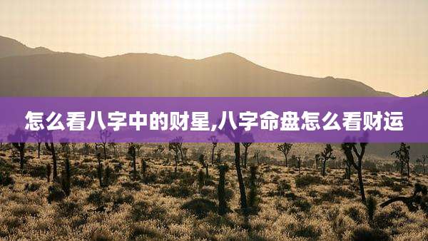 怎么看八字中的财星,八字命盘怎么看财运