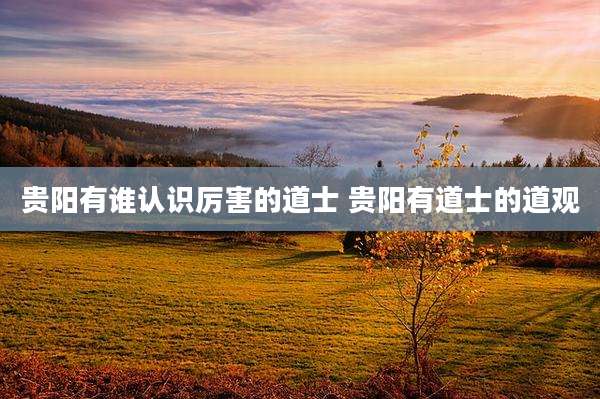 贵阳有谁认识厉害的道士 贵阳有道士的道观