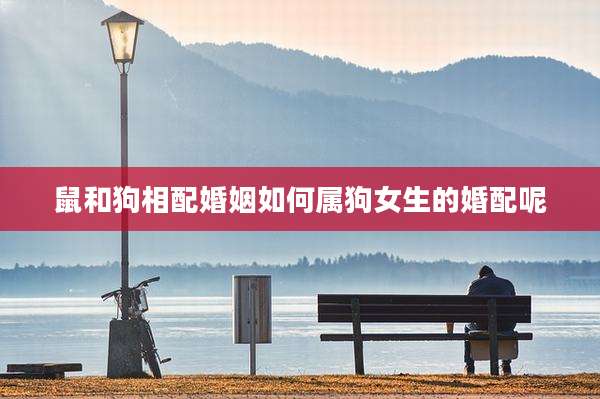 鼠和狗相配婚姻如何属狗女生的婚配呢