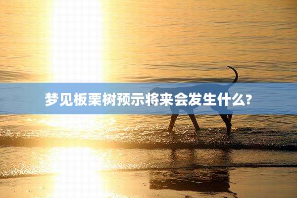 梦见板栗树预示将来会发生什么?